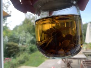 Urkraft Wildkräuter